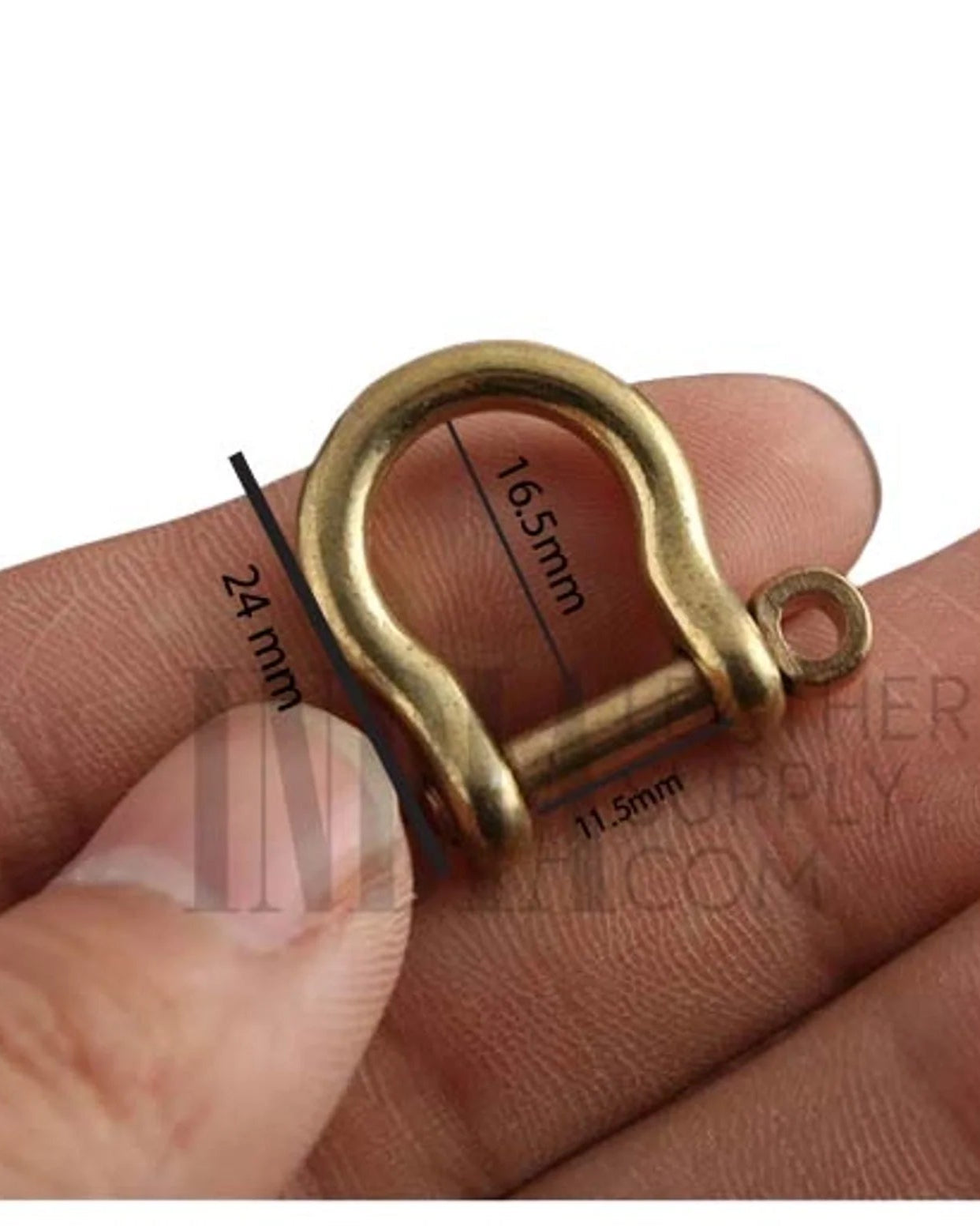 Brass horseshoe D-ring