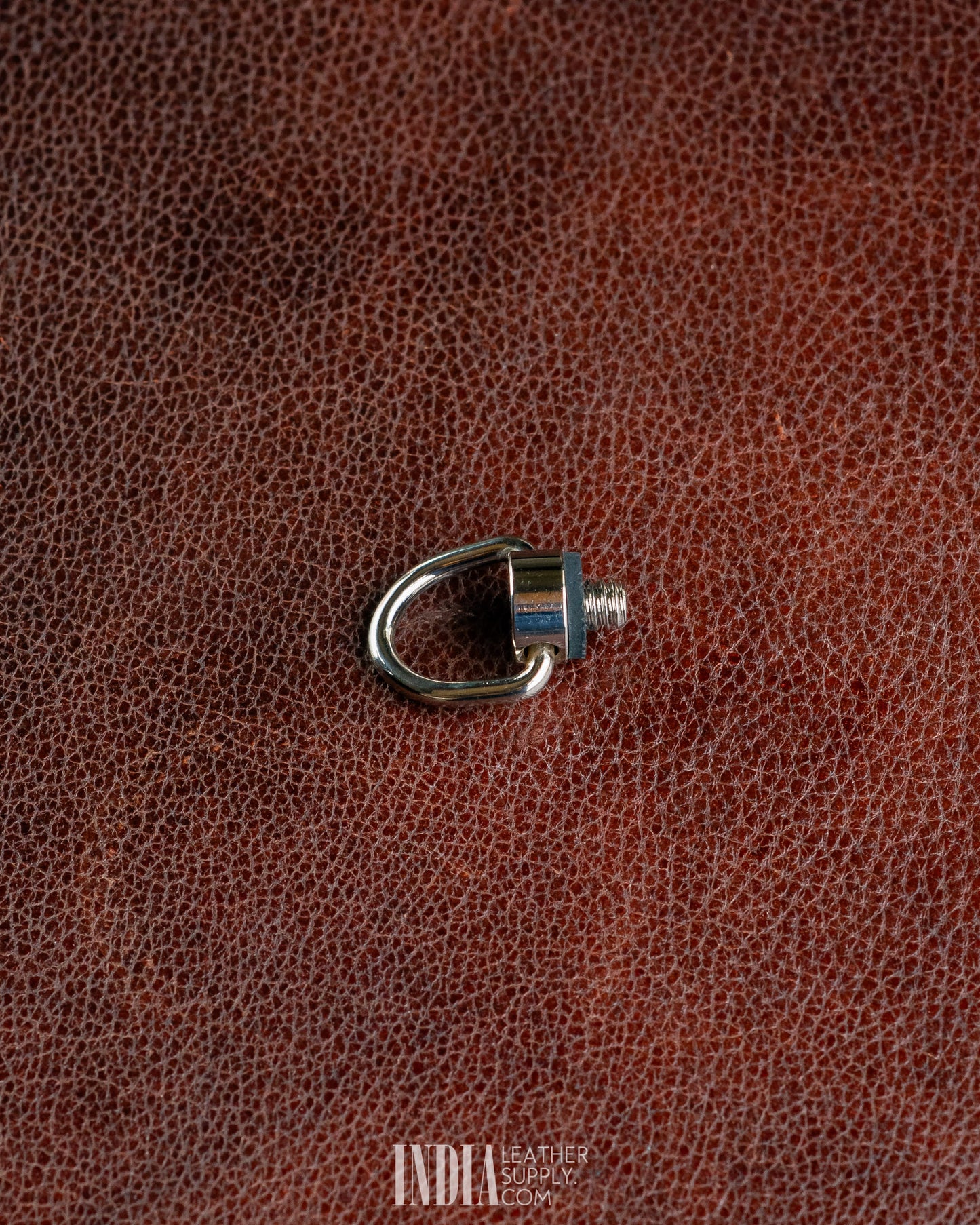 Camera Connector Screw – SS/Iron