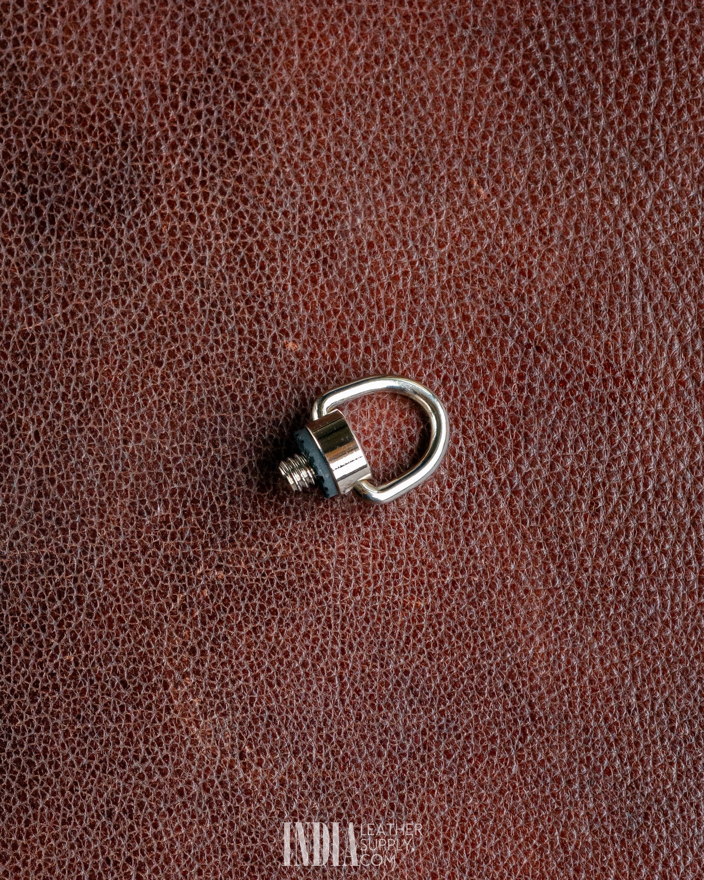 Camera Connector Screw – SS/Iron