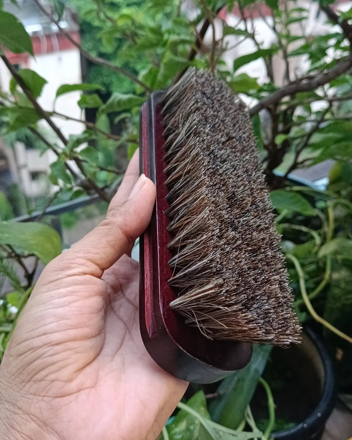 Horse hair brush