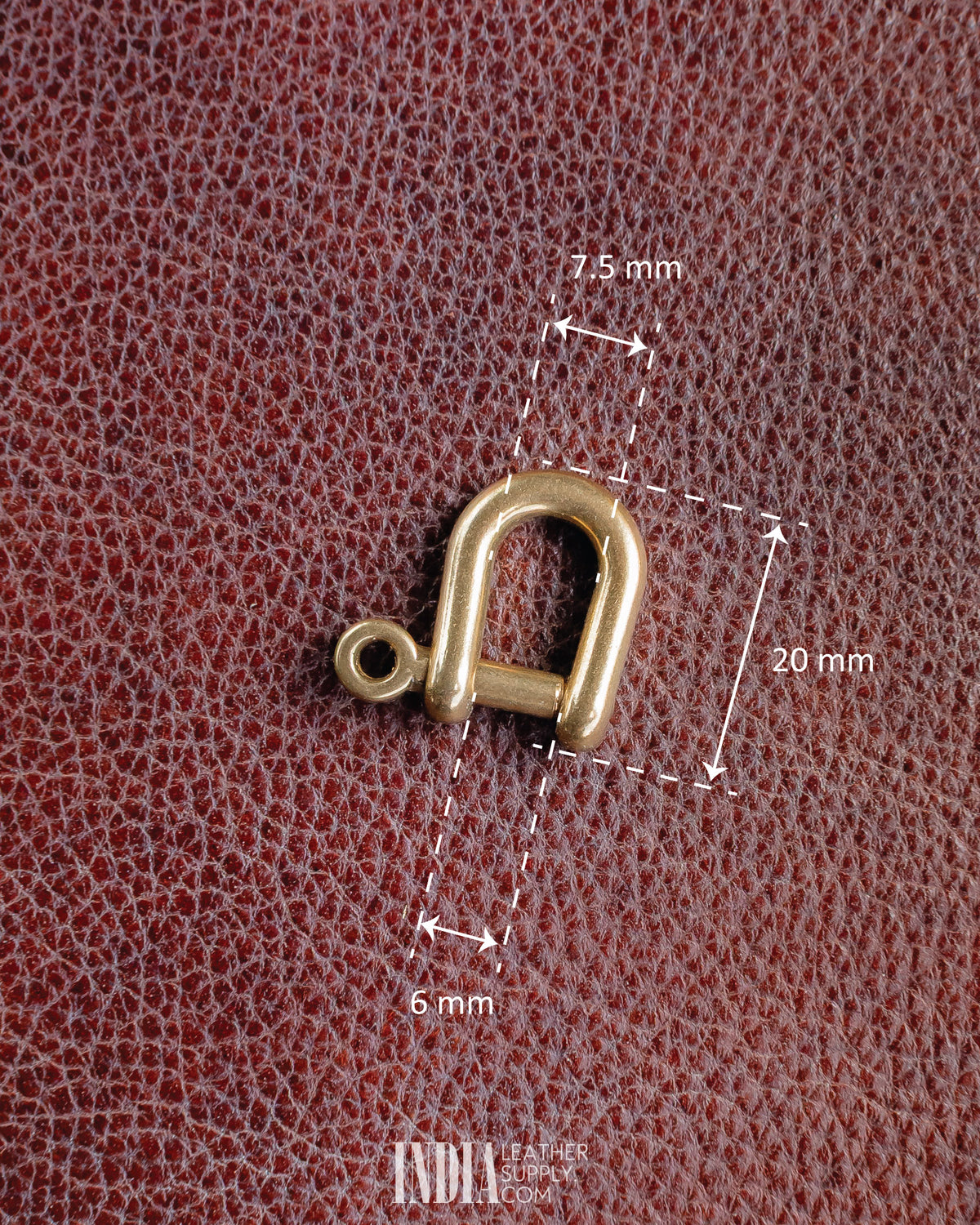 D Ring, Solid Brass (Screw Pin) | Measurements | India Leather Supply