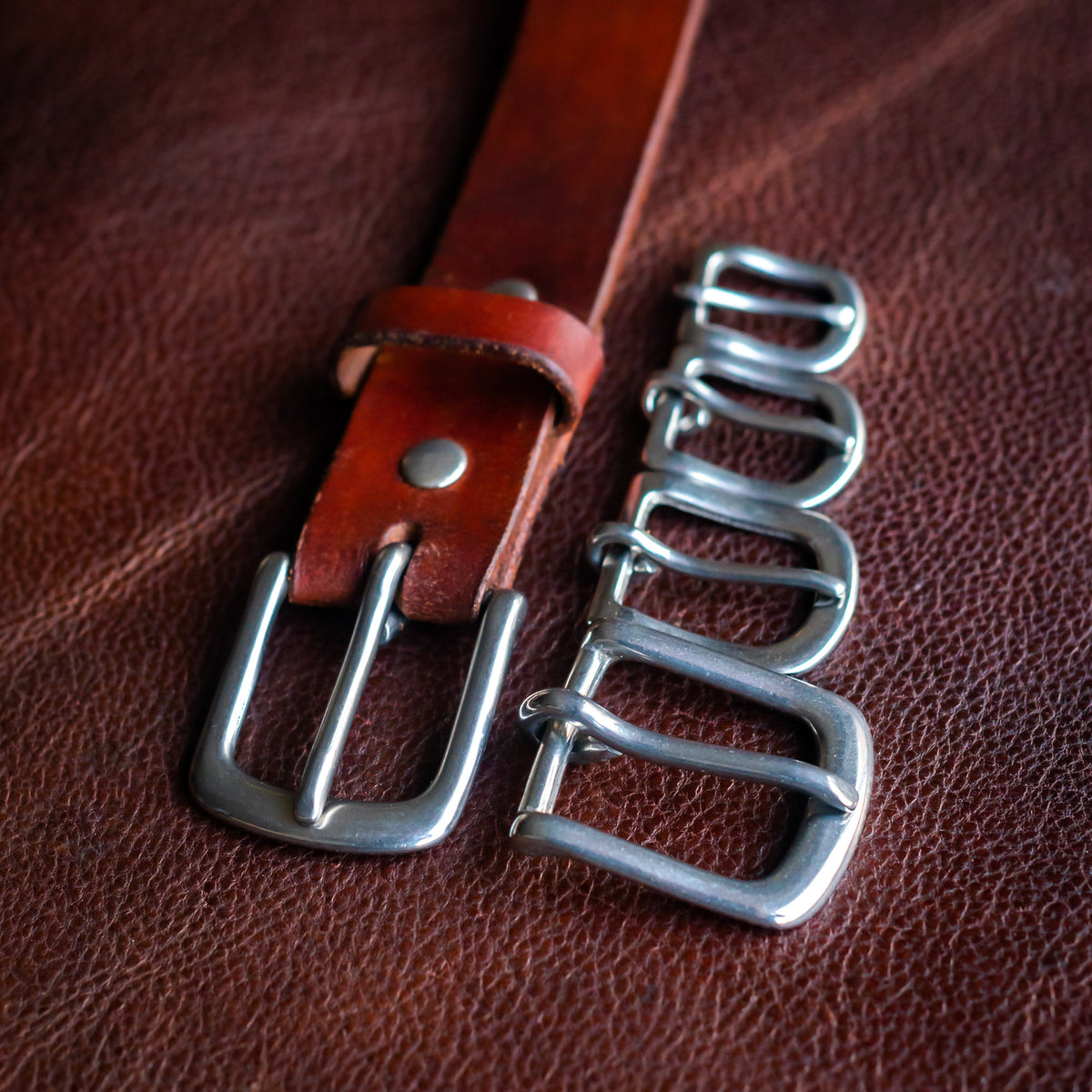 S Series Buckle | India Leather Supply